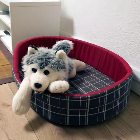 Joli T2 Centre Avec Terrasse Privee & Patio Apartment *